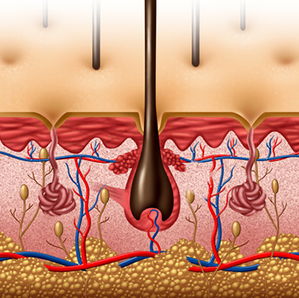 Dermatologia